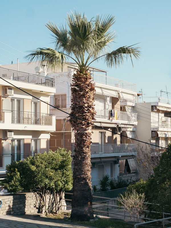 © Soti Tyrologou - Image from the STILL HERE - Portraits of/in a Blue City photography project