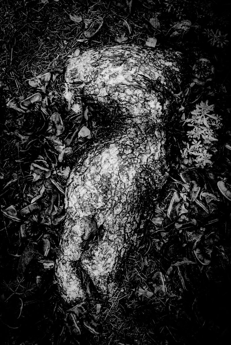 © Michel Delaunay - Image from the The Wait photography project