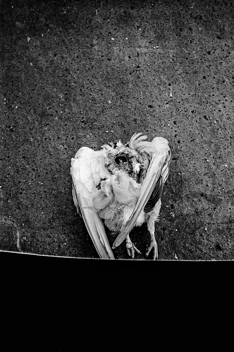 © Michel Delaunay - Image from the The Wait photography project