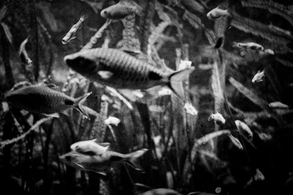 © Michel Delaunay - Image from the The Wait photography project