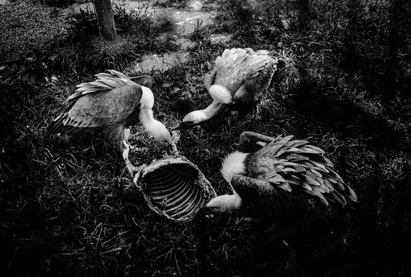 © Michel Delaunay - Image from the The Wait photography project