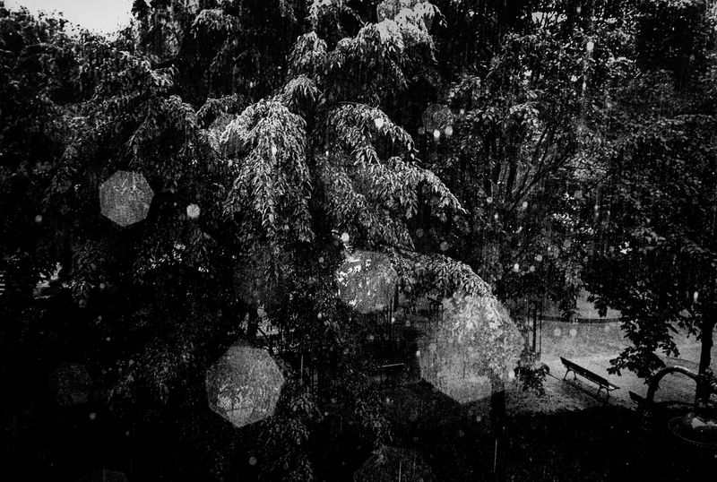 © Michel Delaunay - Image from the The Wait photography project