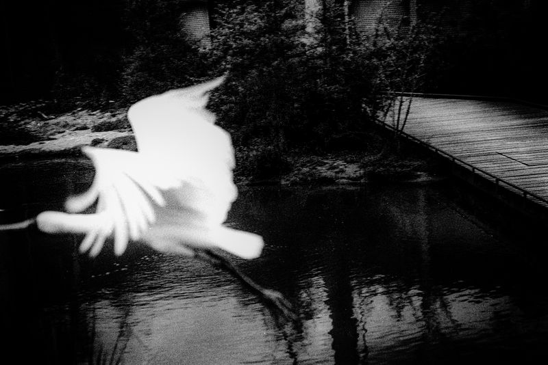 © Michel Delaunay - Image from the The Wait photography project