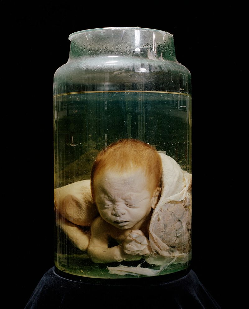 © Mathieu Asselin - Image from the Monsanto: A Photographic Investigation photography project