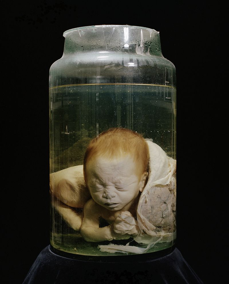 © Mathieu Asselin - Image from the Monsanto: A Photographic Investigation photography project