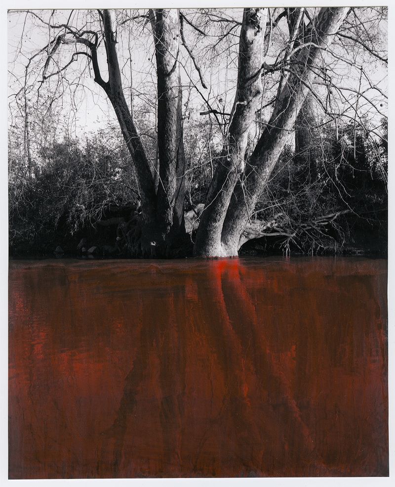 © Mathieu Asselin - Image from the Monsanto: A Photographic Investigation photography project