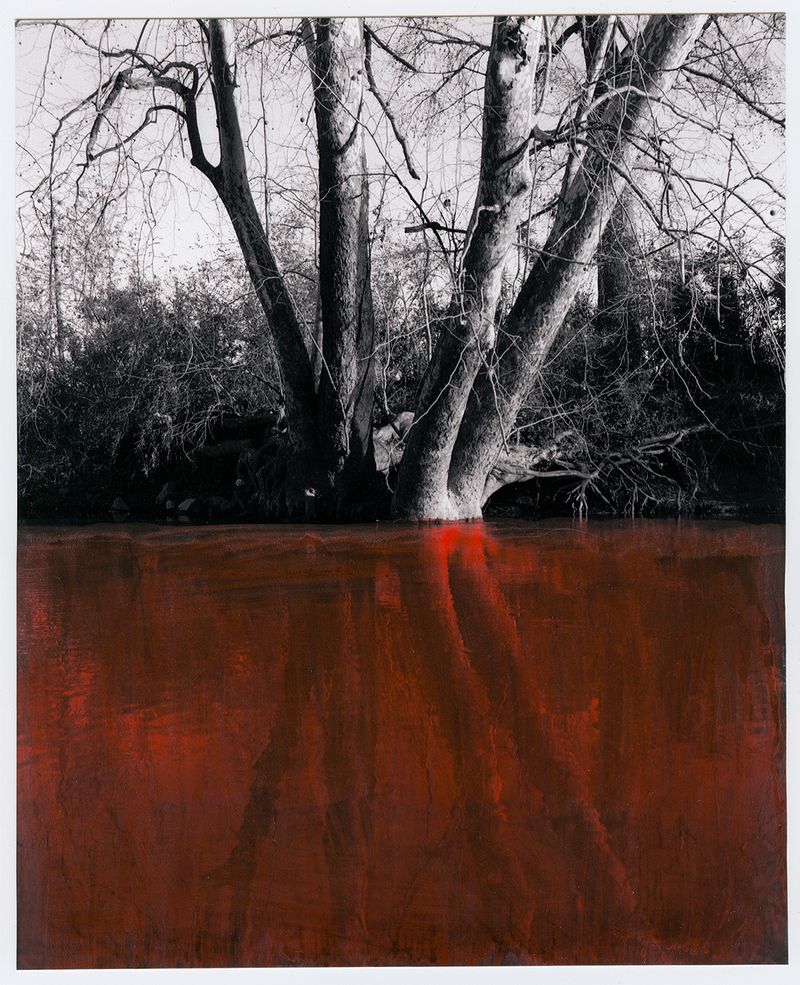 © Mathieu Asselin - Image from the Monsanto: A Photographic Investigation photography project