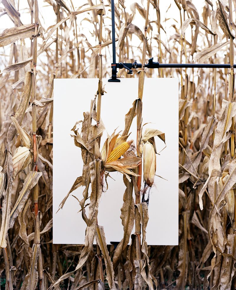 © Mathieu Asselin - Image from the Monsanto: A Photographic Investigation photography project