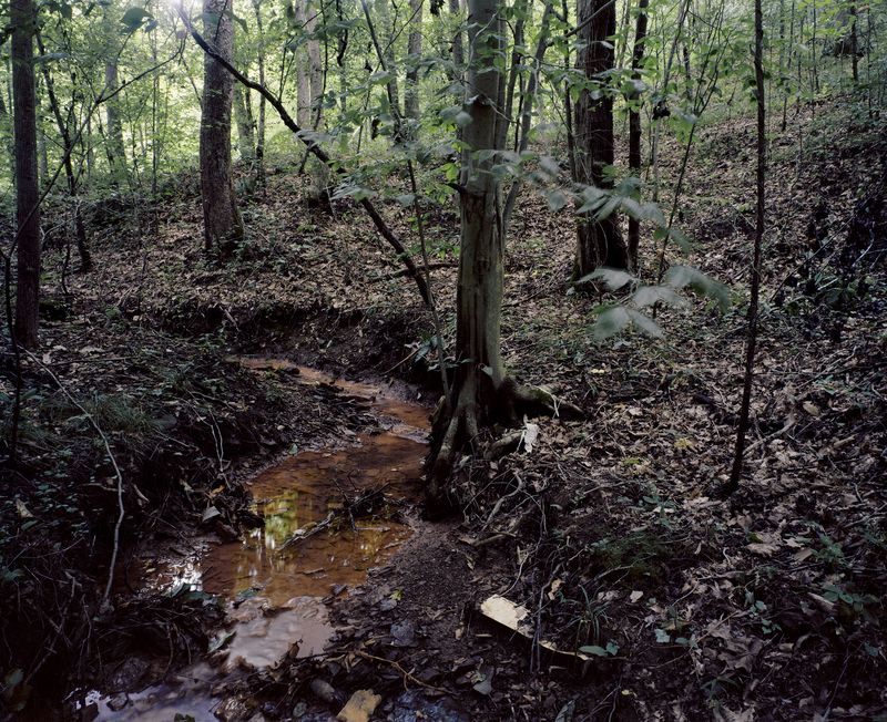 © Mathieu Asselin - Image from the Monsanto: A Photographic Investigation photography project