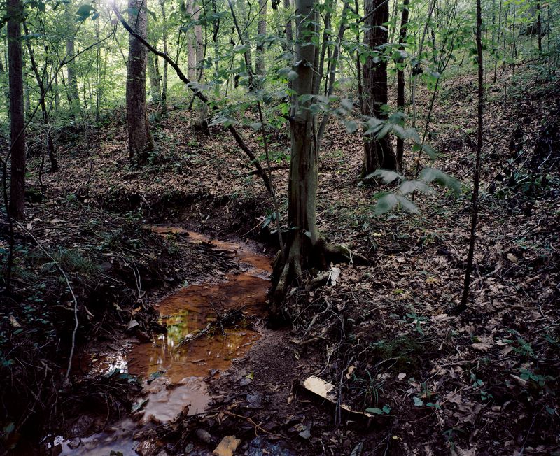 © Mathieu Asselin - Image from the Monsanto: A Photographic Investigation photography project