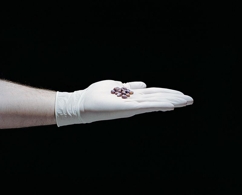 © Mathieu Asselin - Monsanto® GMO Seeds.GENEVA, INDIANA. 2013