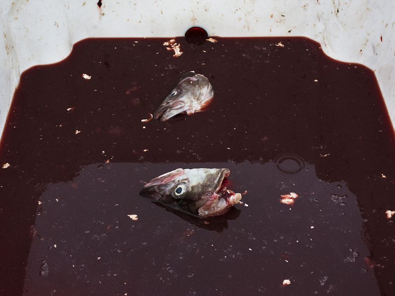 © Camille Mazier - Image from the There was no other way out but silence photography project