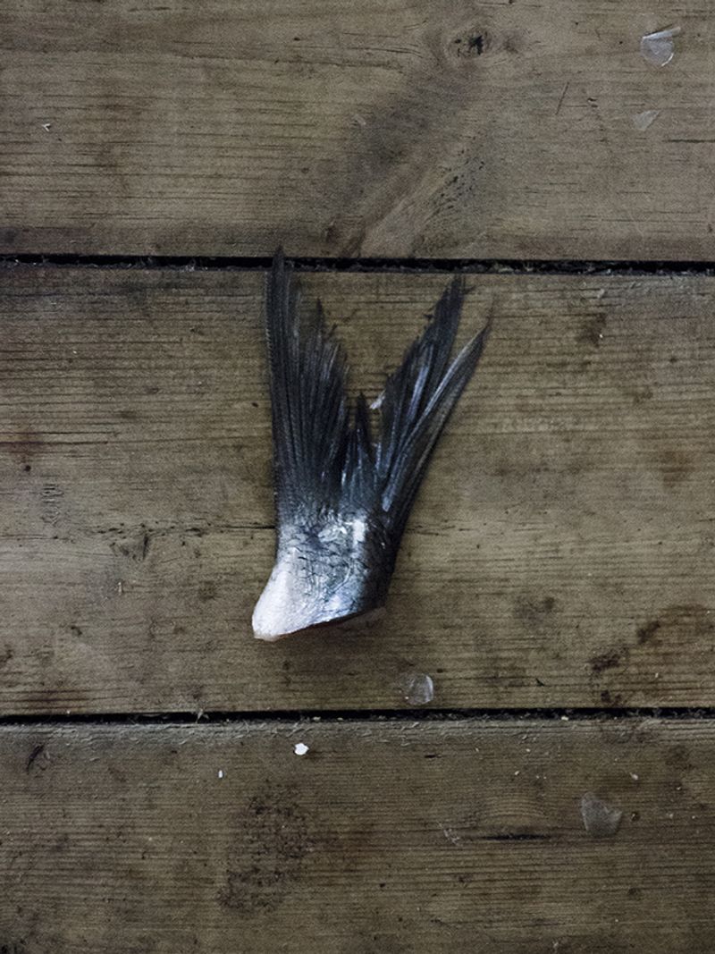 © Camille Mazier - Image from the There was no other way out but silence photography project