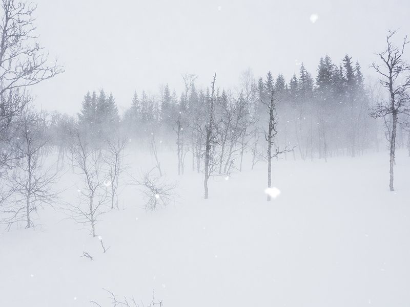 © Camille Mazier - Image from the There was no other way out but silence photography project
