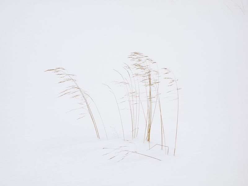 © Camille Mazier - Image from the There was no other way out but silence photography project