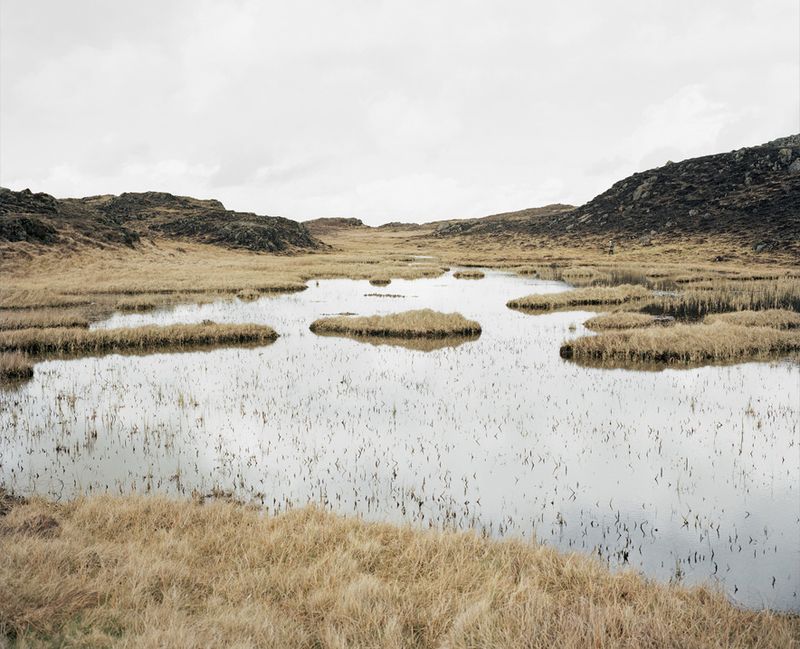 © Paddy Kelly - It's a sort of vicious circle