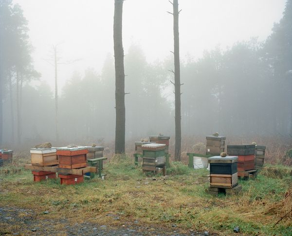 © Paddy Kelly - People would think "Jesus, that's a terrible bloodbath". I just remember thinking it was a great operation