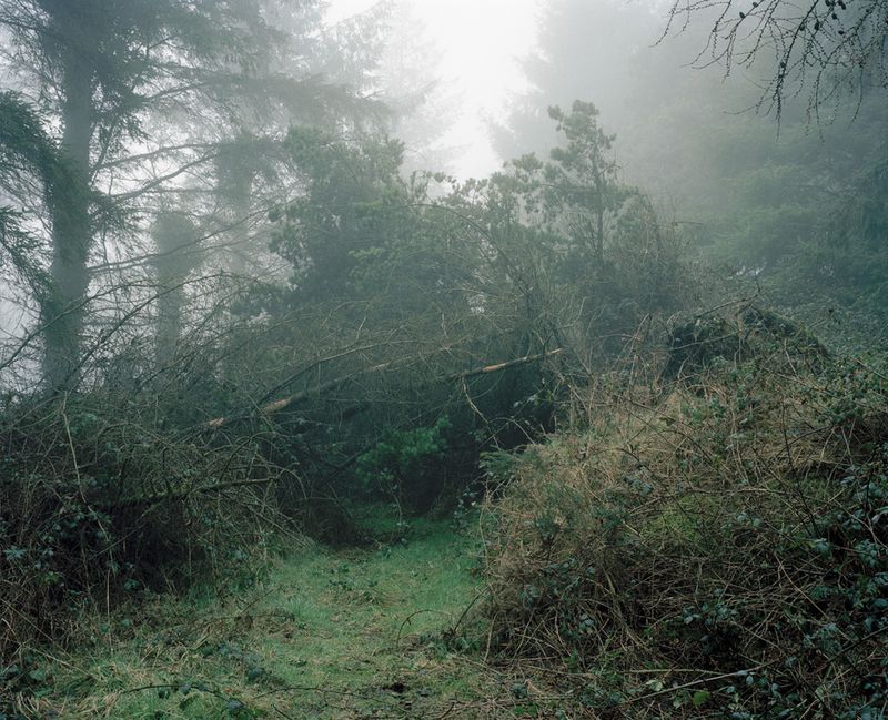 © Paddy Kelly - Regret