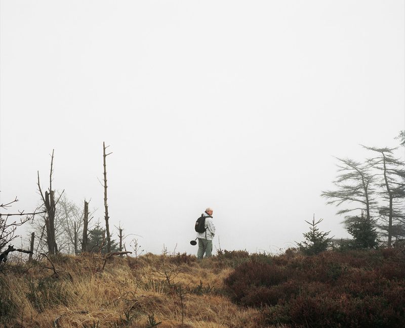 © Paddy Kelly - The land of milk and honey