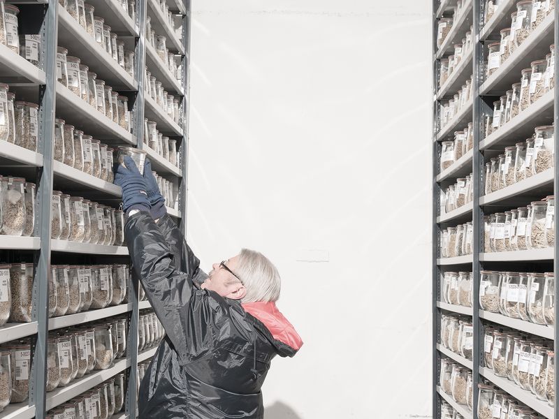 © Gil Bartz - Image from the Fragments of Climate Change photography project