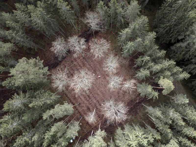 © Gil Bartz - Image from the Fragments of Climate Change photography project