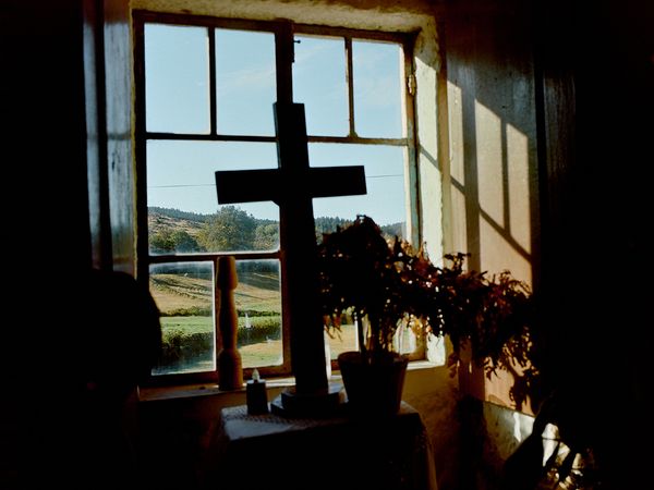 © Bruno Ribeiro - Image from the The Grass Needs To Be Cut photography project