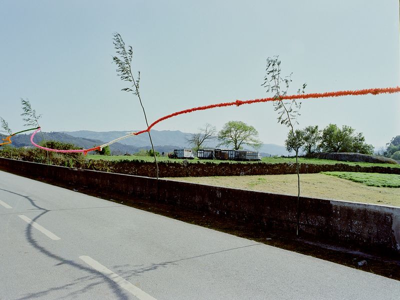 © Bruno Ribeiro - Image from the The Grass Needs To Be Cut photography project