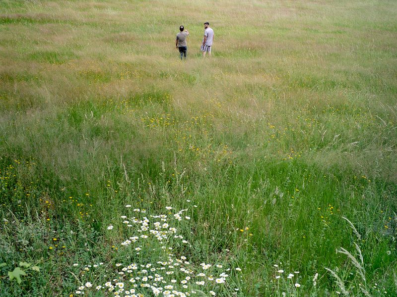 © Bruno Ribeiro - Image from the The Grass Needs To Be Cut photography project
