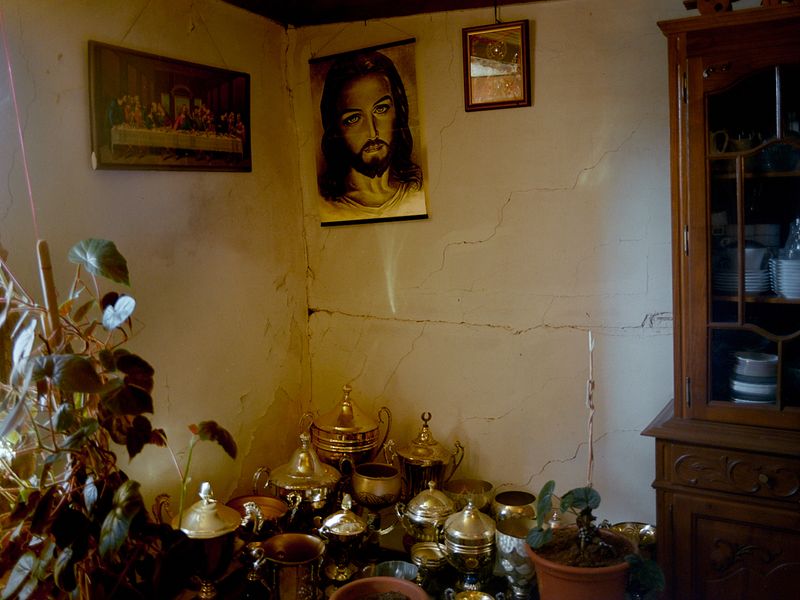 © Bruno Ribeiro - Image from the The Grass Needs To Be Cut photography project