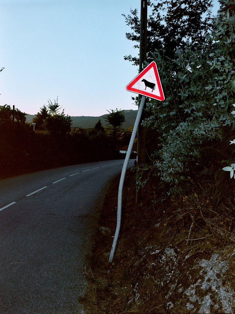 © Bruno Ribeiro - Image from the The Grass Needs To Be Cut photography project