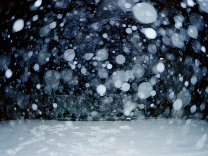 © Bruno Ribeiro - Image from the The Grass Needs To Be Cut photography project