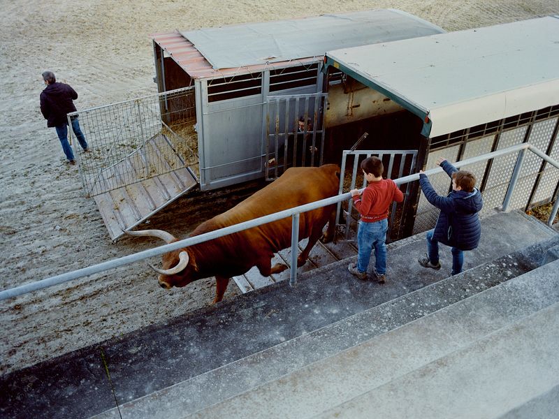 © Bruno Ribeiro - Image from the The Grass Needs To Be Cut photography project