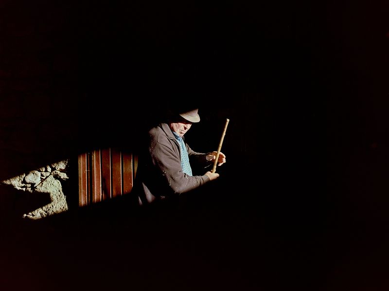 © Bruno Ribeiro - Image from the The Grass Needs To Be Cut photography project