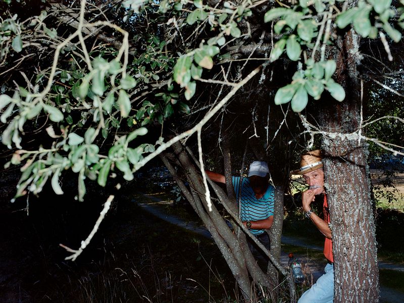 © Bruno Ribeiro - Image from the The Grass Needs To Be Cut photography project