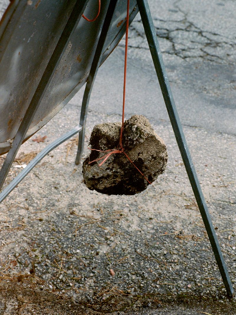 © Bruno Ribeiro - Image from the The Grass Needs To Be Cut photography project