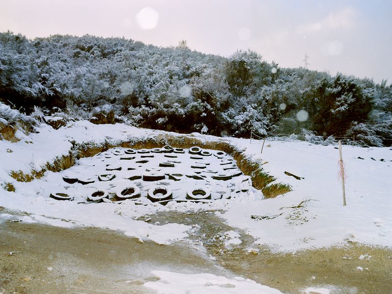 © Bruno Ribeiro - Image from the The Grass Needs To Be Cut photography project