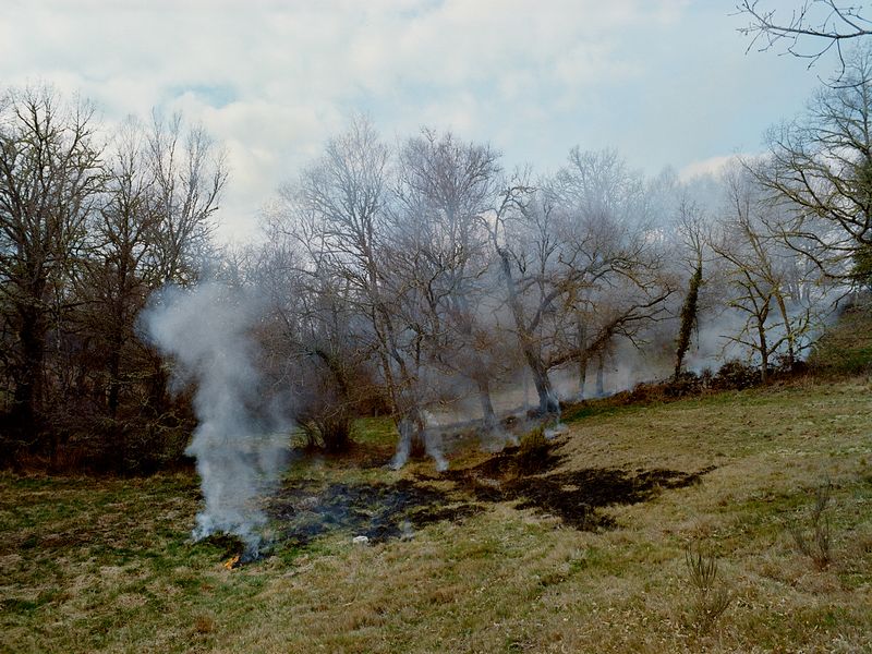 © Bruno Ribeiro - Image from the The Grass Needs To Be Cut photography project