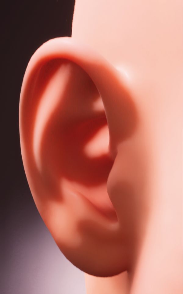 © Sara Levarato - Image from the A Kind of Ritual of Productivity & Control photography project