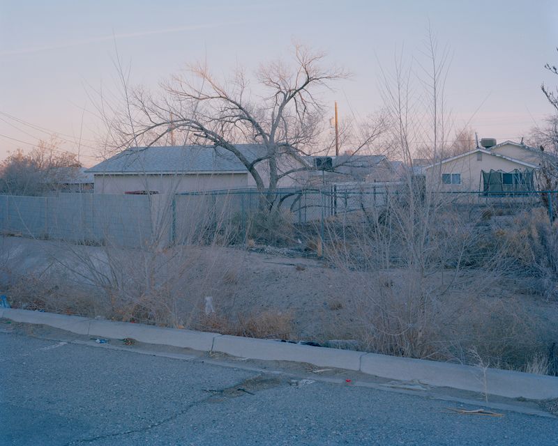 © Lewis Khan - Elm #2