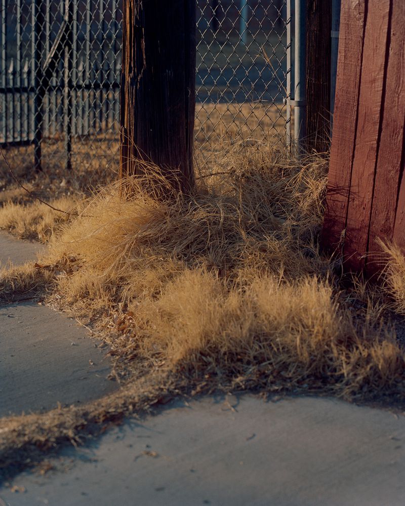 © Lewis Khan - Lewis #1