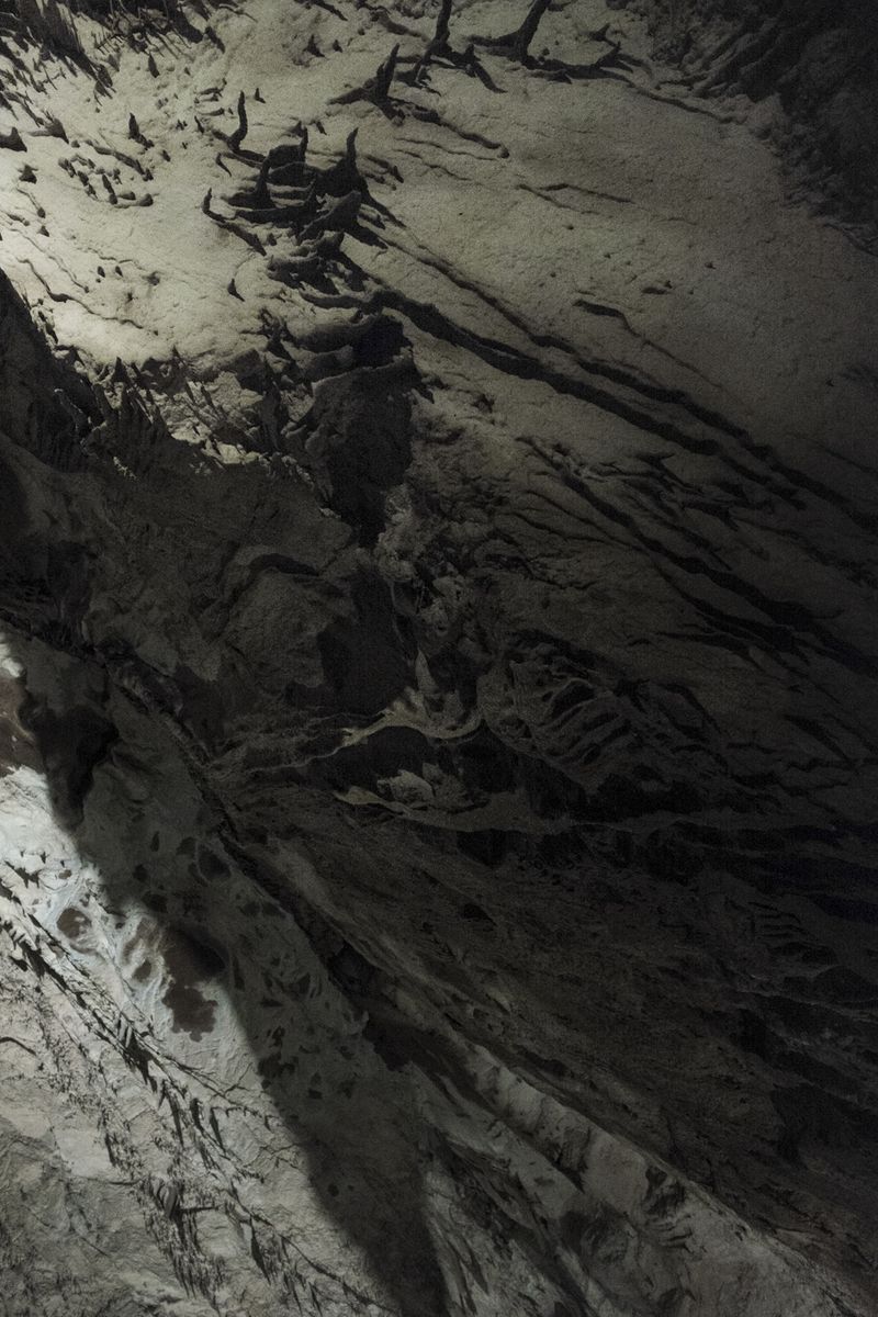 © Jeroen De Wandel - U-PSLO-2016-FX-R_11 (Postojna, Slovenia)
