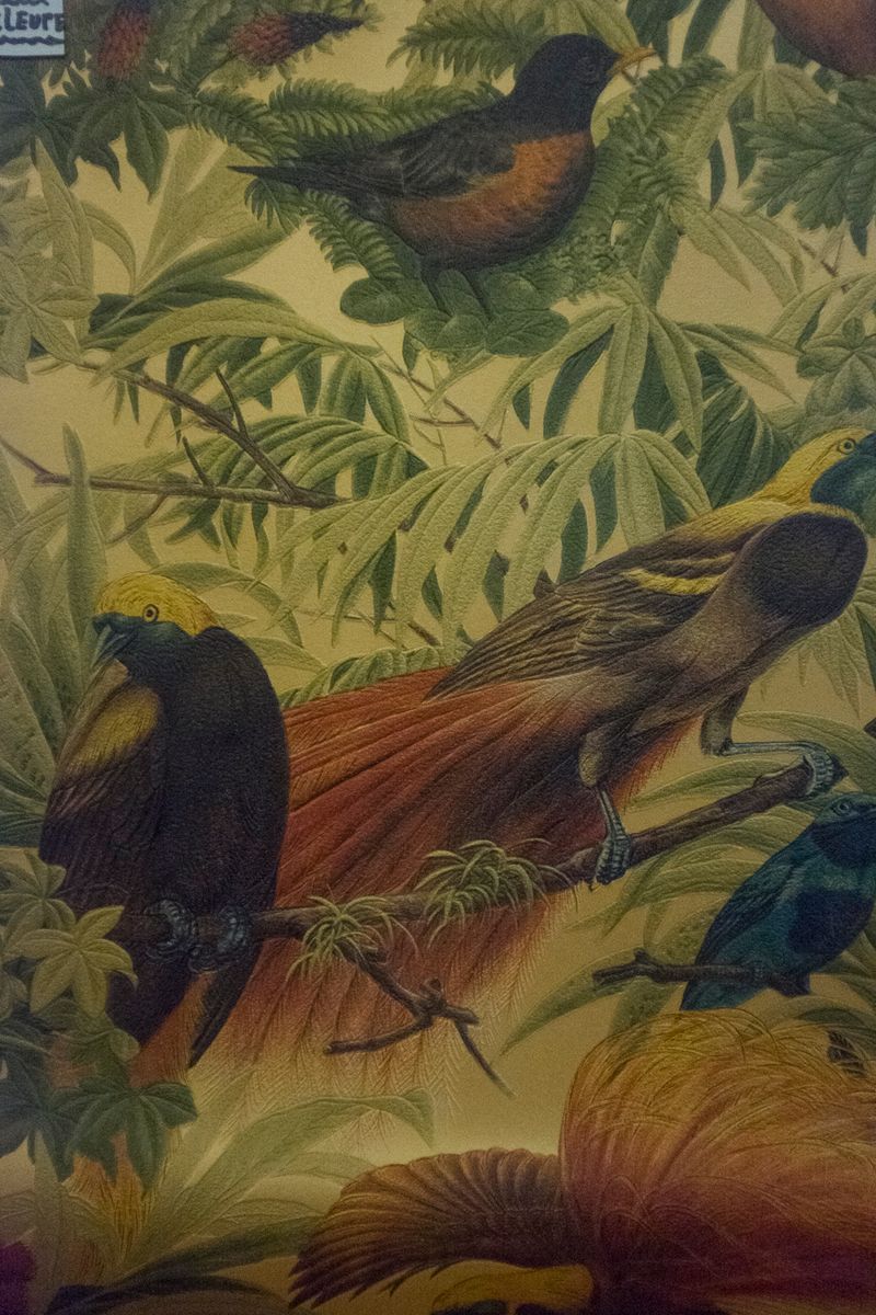 © Jeroen De Wandel - U-GBE-2016-FX-R_02 (Gent, Belgium)