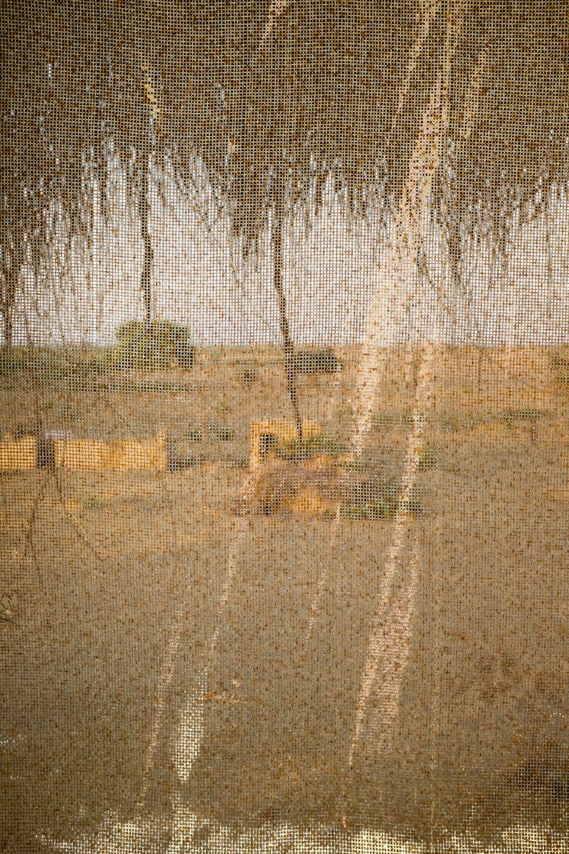 © Jeroen De Wandel - U-JIN-2014-FX-R_08 (Jaisalmer, India)