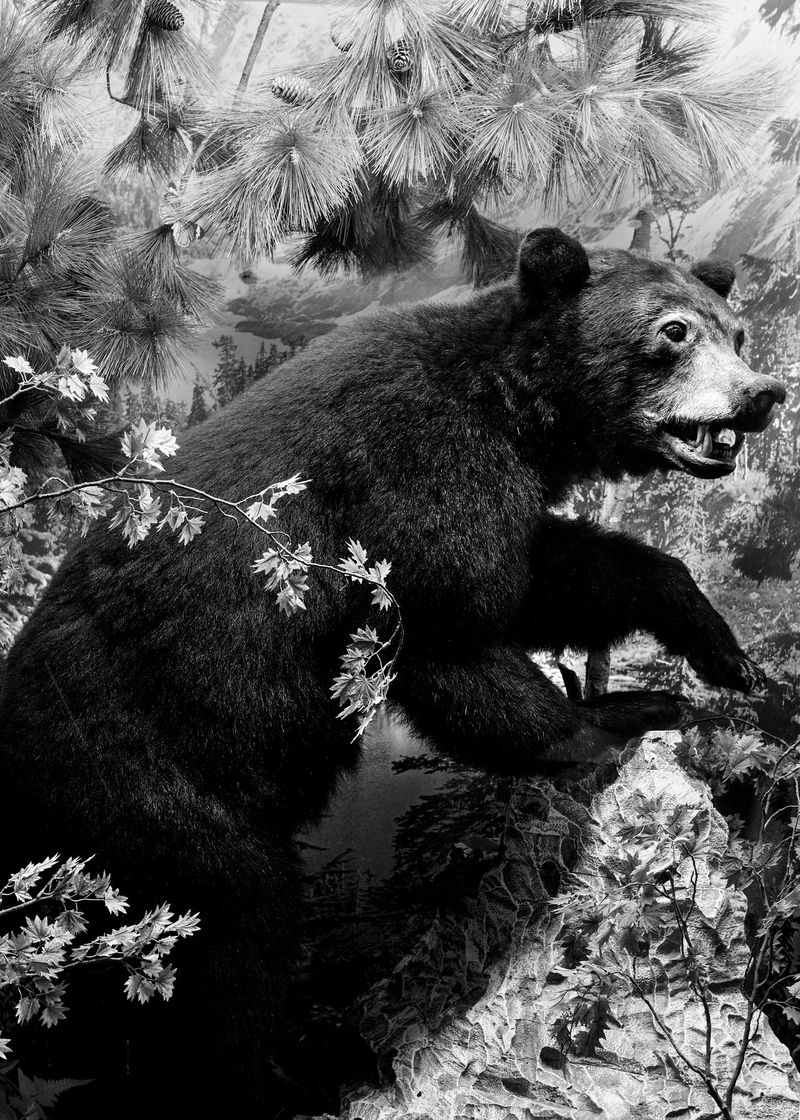 © Francesca Catastini - Image from the Petrus photography project