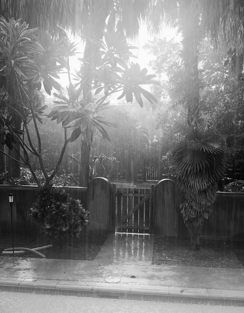 © Dani - Image from the Mixed Message photography project