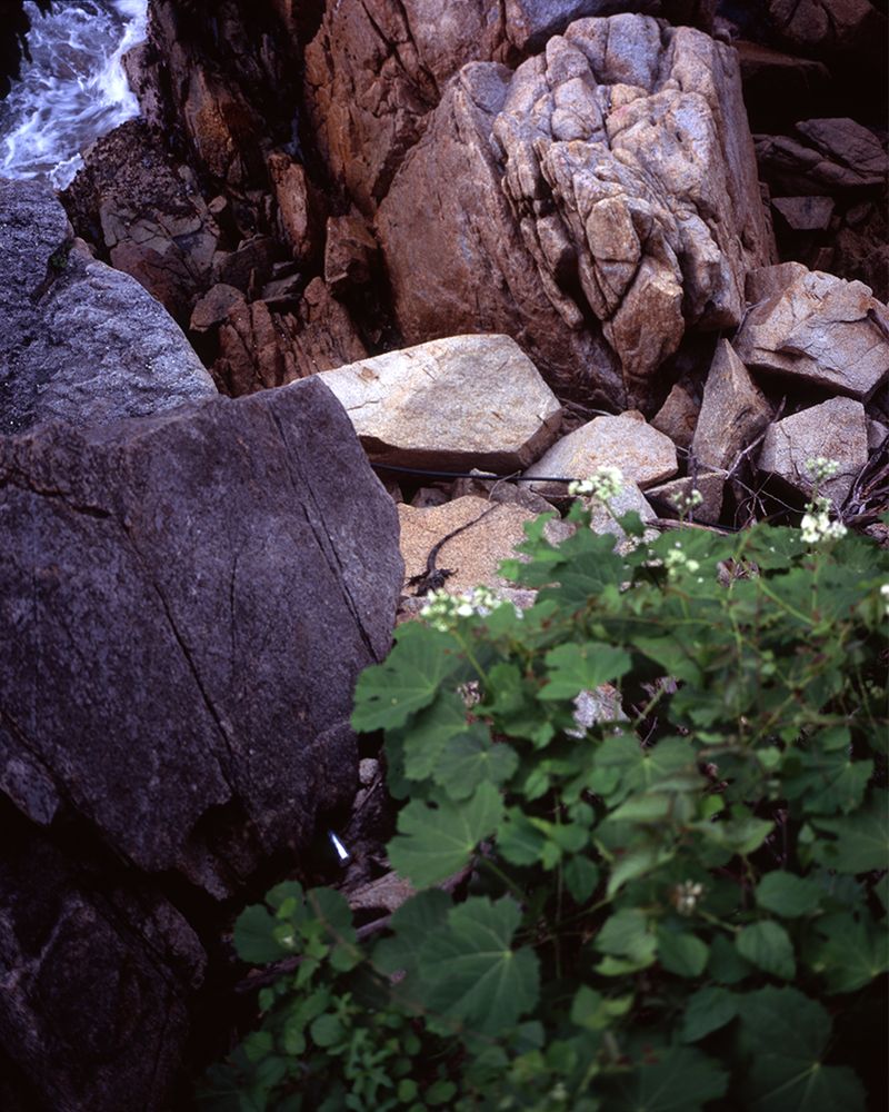 © Andrea Nieto - Image from the OCHO photography project