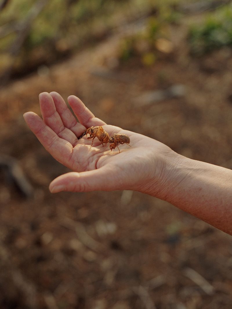 © Meghan Marin - Image from the The Sound Of The Sun photography project