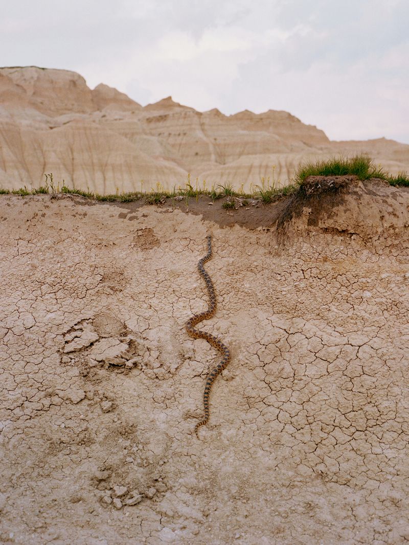 © Meghan Marin - Image from the The Sound Of The Sun photography project