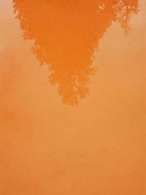 The Sound Of The Sun