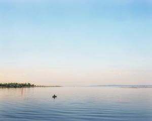 The Votes. Last Voices.